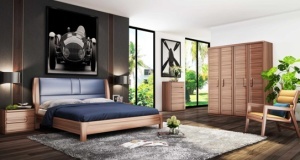 南洋胡氏“胡桃先生——艺术家”系列新品上市 为家注入艺术灵魂